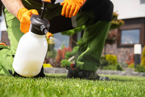 Best Local Pest Control Services  in Bexley, OH