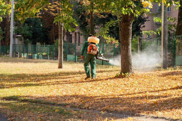 Best Ant Control Services  in Bexley, OH