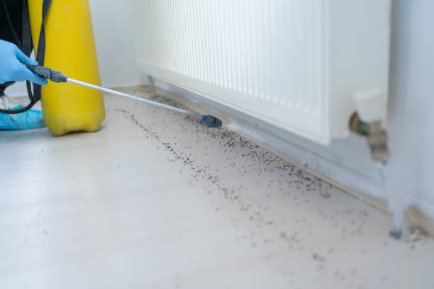 Best Wildlife Control Services  in Bexley, OH