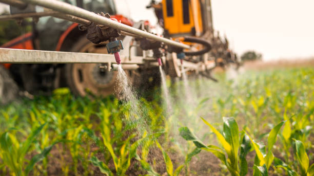 Best Insect Control  in Bexley, OH